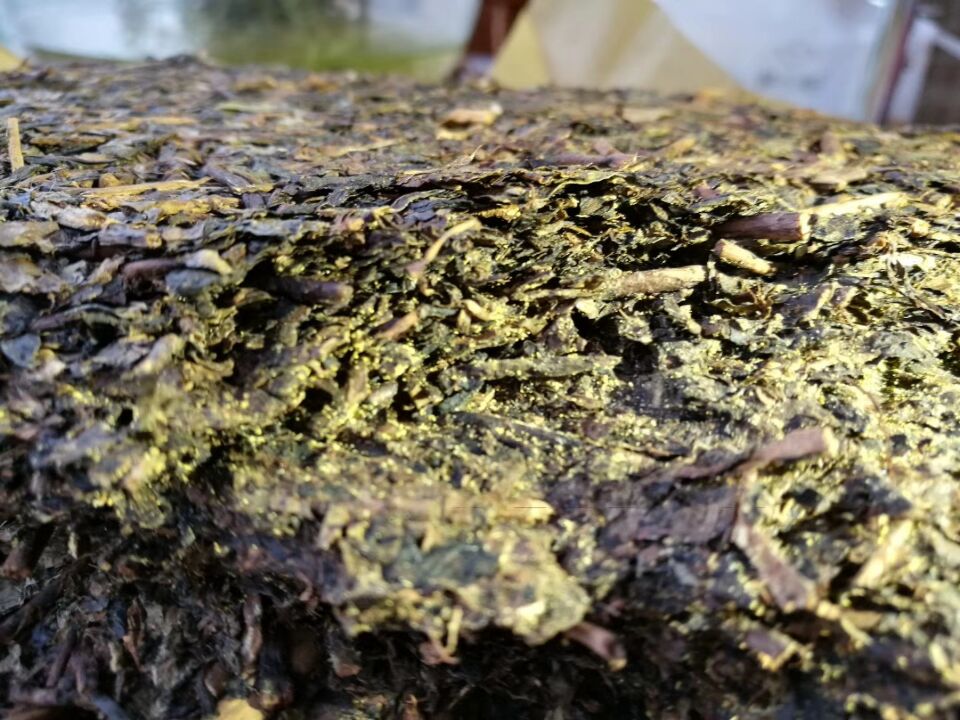 開(kāi)喝1450克茯磚