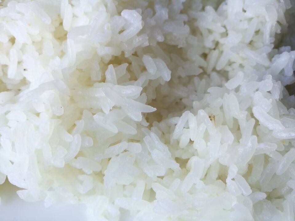 【2017納新黑龍江考察大米之行】大米品種—“稻花香和龍洋十六”