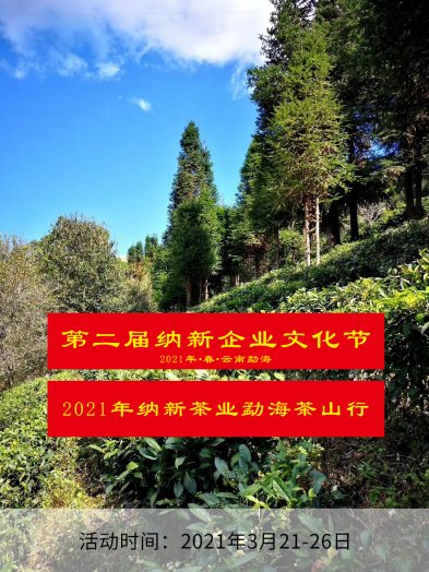 2021年納新茶業(yè)勐海茶山行