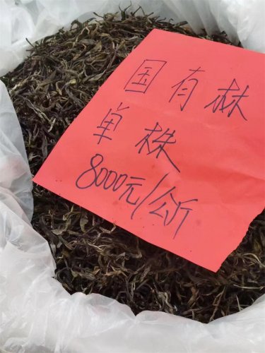 2023納新茶業(yè)勐海茶山行 -- 茶博會(huì )現場(chǎng)