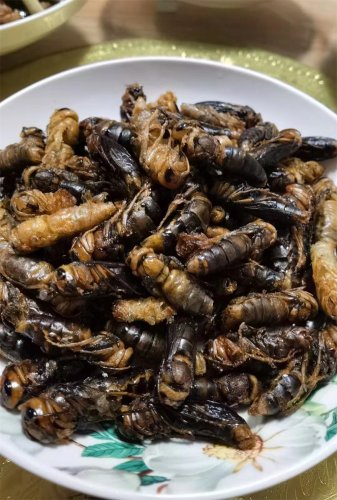 2023納新茶業(yè)勐海茶山行 -- 納新制茶基地伙食