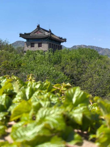 山海關(guān)風(fēng)光（二）漫步