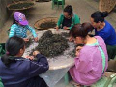 普洱黃金葉茶餅【名字有獎?wù)骷? />                    </a>
                </div>
            </div>
                        
                        <div   id=