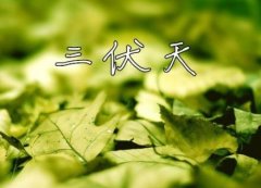 【馬上要入伏了】7月13—8月21，共計40天
