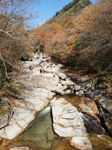  2018納新賞秋記 —— 米倉山 光霧山 黑熊溝