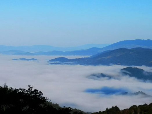 【活動(dòng)召集】2019納新茶業(yè)勐海茶山行